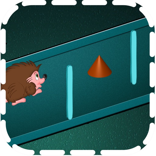 Slow Hedgehog - Bounce iOS App