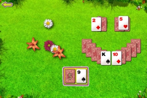 Summer Solitaire The Card Game screenshot 4