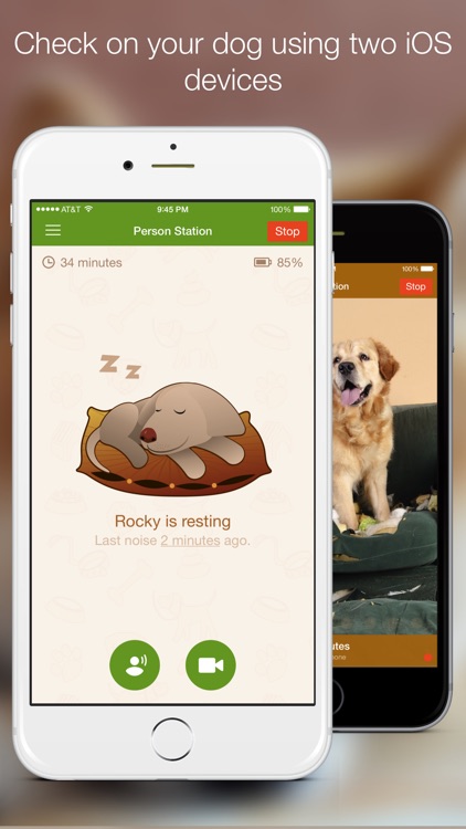 Dog Monitor