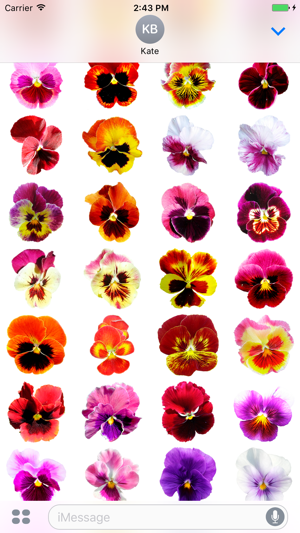 Beautiful Pansies Photostickers(圖3)-速報App