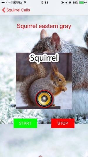 Real Squirrel Hunting Calls & Sounds(圖3)-速報App