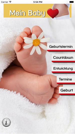 Mein Baby - Ich bin schwanger(圖1)-速報App