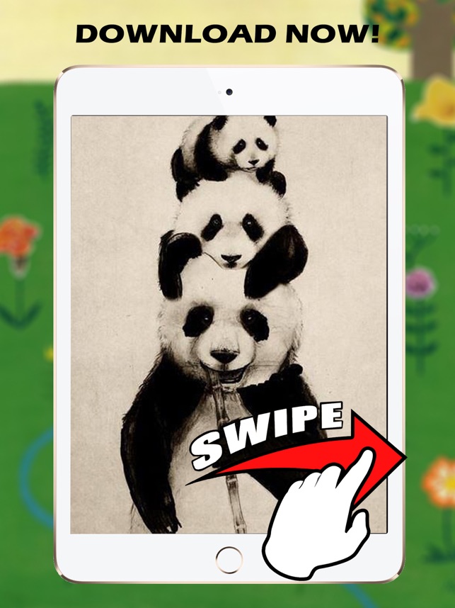 パンダのhdの壁紙と背景 をapp Storeで