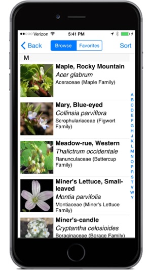 Glacier Wildflowers(圖4)-速報App