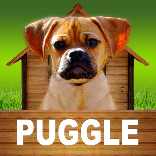 Puggle - opoly Icon