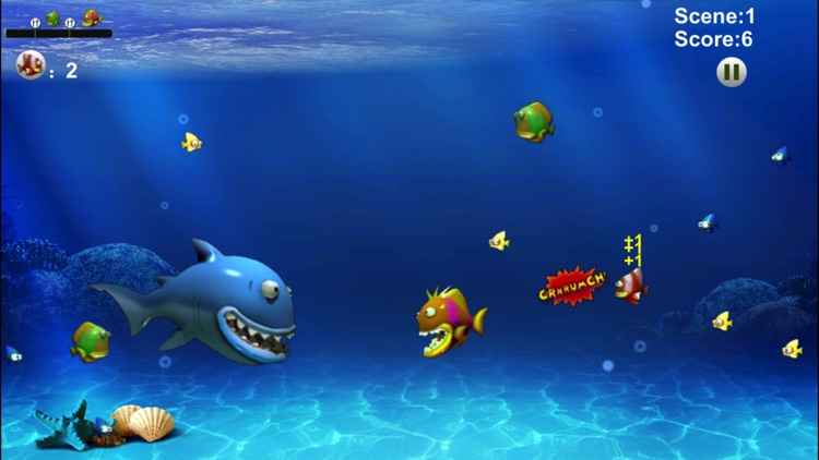 Feeding Frenzy HD