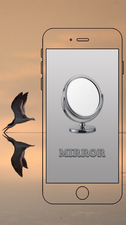 Makeup Mirror: Beauty & Personal Care