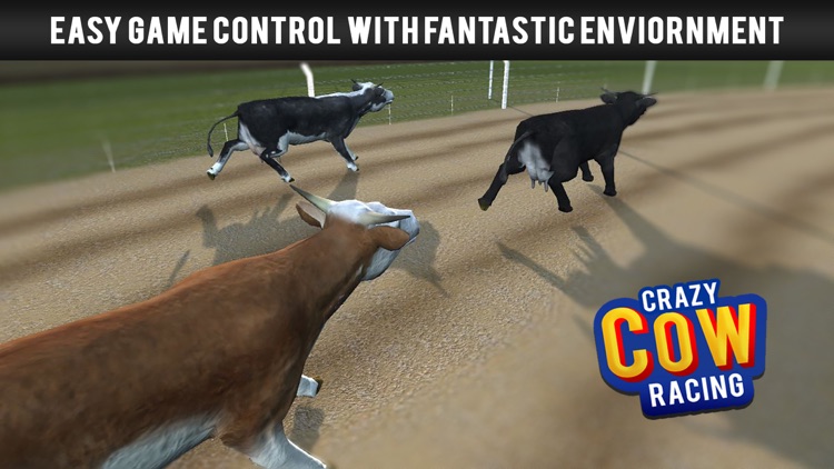 Cow Racing Free Game
