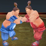 Sumotori Wrestle Dreams 3D