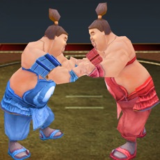 Activities of Sumotori Wrestle Dreams 3D