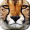 Cheetah Run - Very Funny Running Game