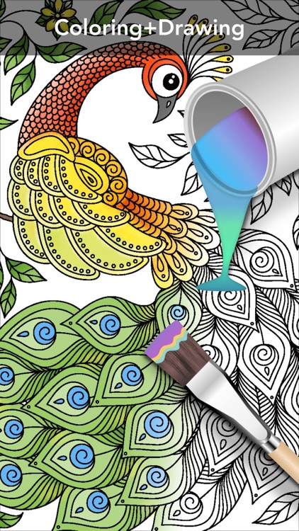 Coloring Book 2017