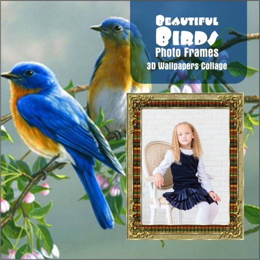 Beautiful Birds Photo Frames 3D Wallpapers Collage