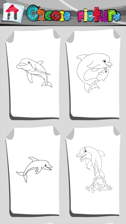 Dolphin Coloring Book