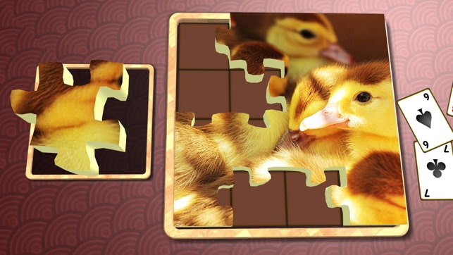 Jigsaw Solitaire Baby Animals(圖2)-速報App