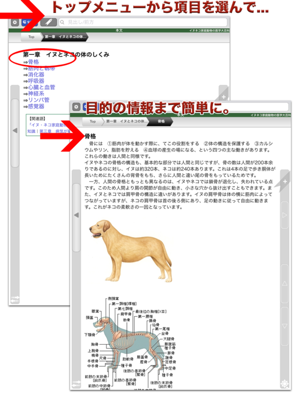 イヌ・ネコ家庭動物の医学大百科【ピエ・ブックス】のおすすめ画像2