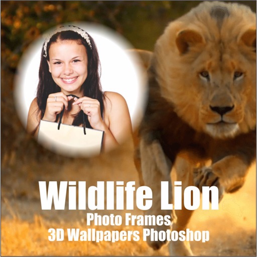 Wildlife Lion Photo Frames 3D Wallpapers Photoshop