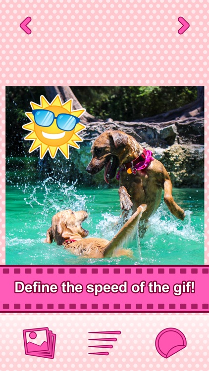 Make Your Own Gif - Moving Pictures & Loop Video