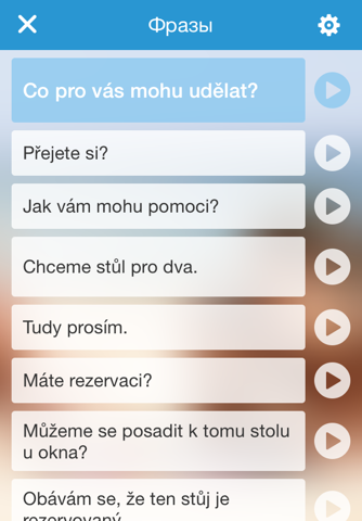 Русско чешский разговорник screenshot 4