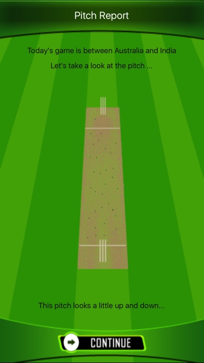 The Best Cricket Game Ever