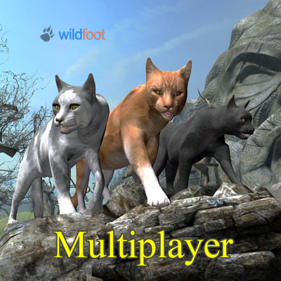 Cat Multiplayer