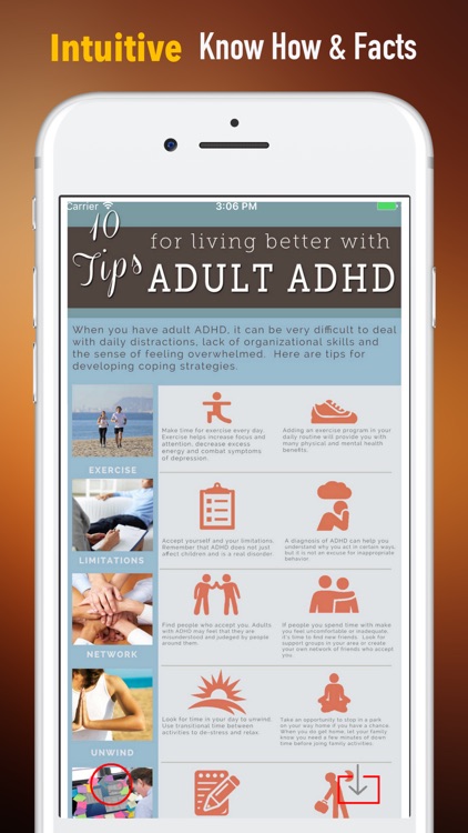 Adult ADHD Guide-Life Strategies