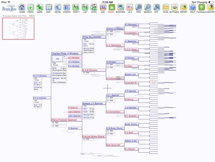 Branches Pro for iPad