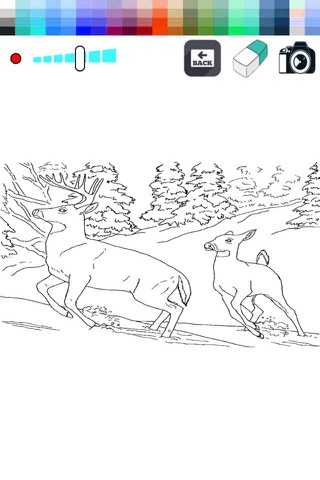 Coloring Book-Fun Painting Deer for Kids screenshot 2