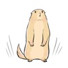 Cute Marmot Stickers