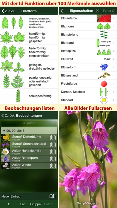Blütenpflanzen Deutschland Blumen, Sträucher Bäumeのおすすめ画像5