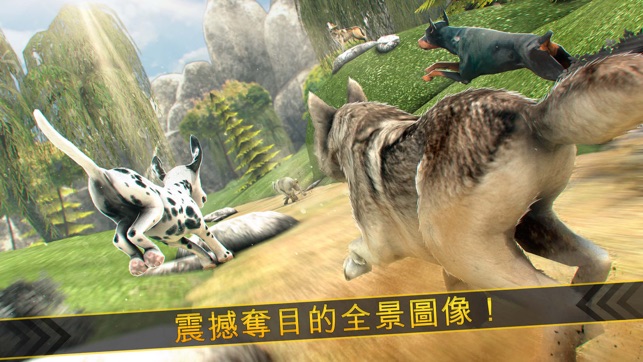 神奇狼人和狗狗衝突 - 我的夢幻動物園跑酷3D(圖2)-速報App