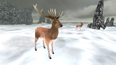 Deer Hunter Shooting FPS GO 2016のおすすめ画像5