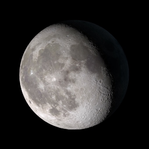 Moon Phase + Professional