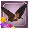 Animals Bird - Hawk Puzzles Game  for Toddlers