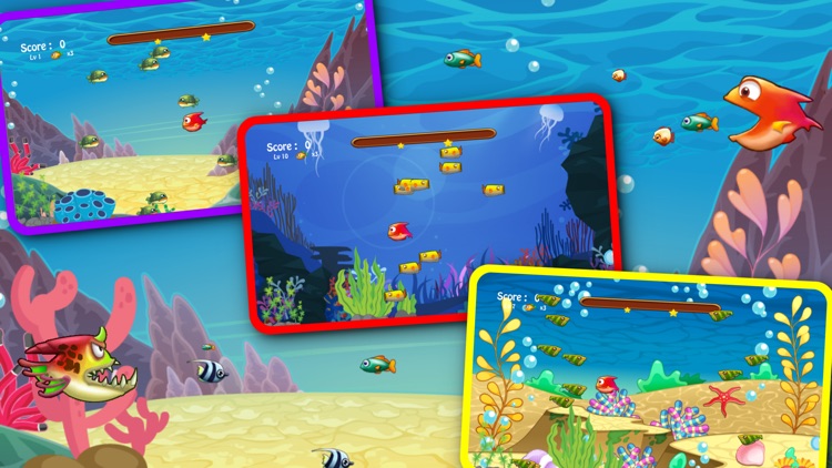 Ocean Fight War Fish Game