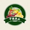 中国果业交易市场