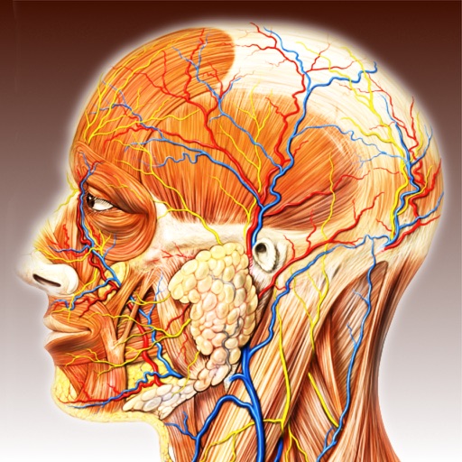 Anatomical Glossary iOS App