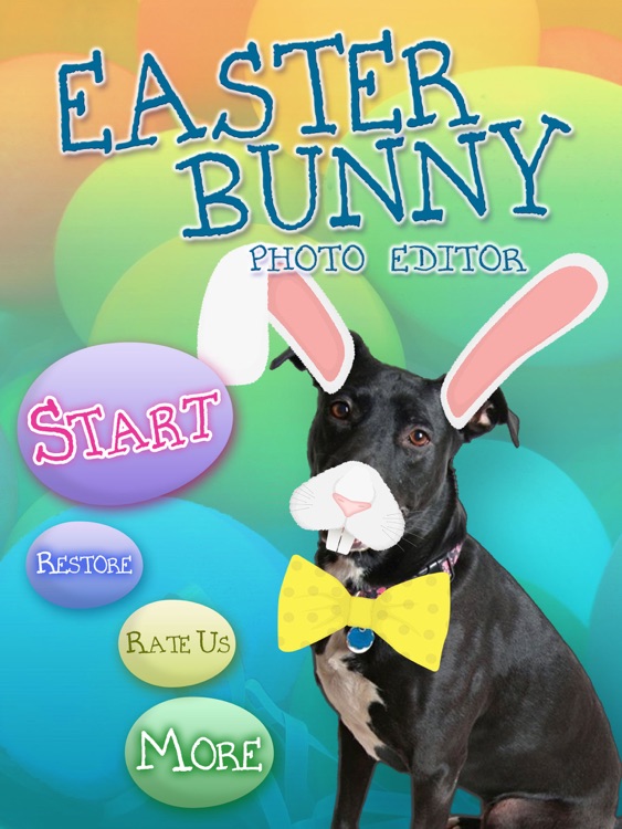 Easter Bunny Yourself Dress Up Social Photos