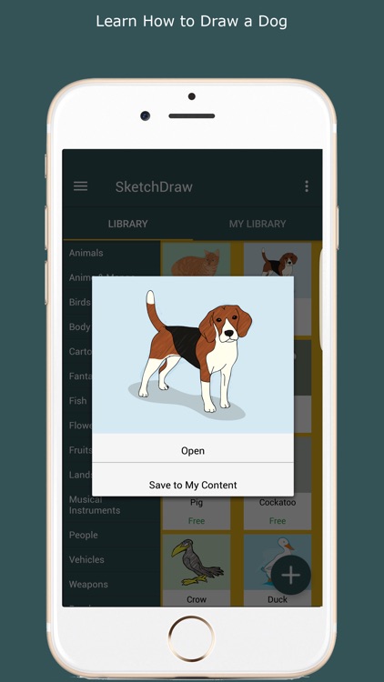 SketchDraw- How to Draw Anything