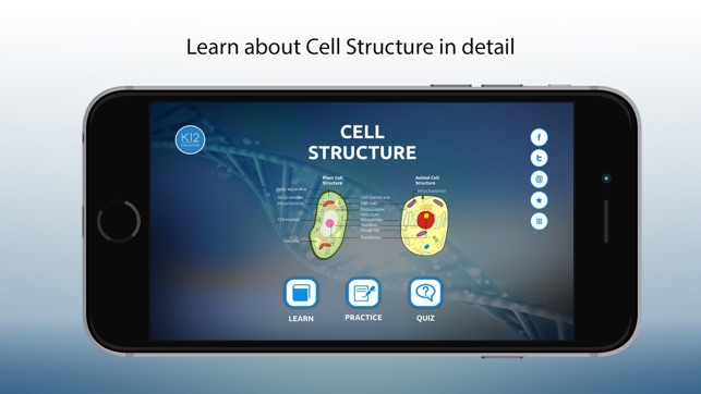 Biology Cell Structure