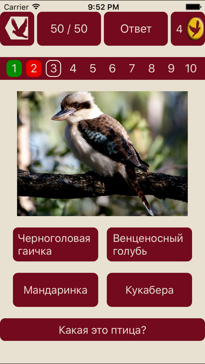 Угадай птицу