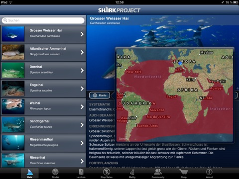 Sharkproject for iPad screenshot 2