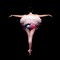 Stay connected with all things Lone Star Ballet