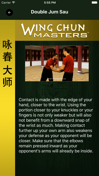 Wing Chun Masters 2 review screenshots
