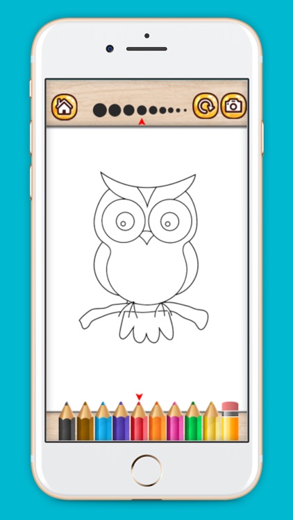 Bird coloring book drawing painting games for kids screenshot-4