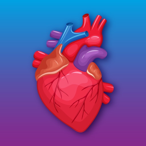 3D Printed Heart App