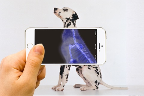 Xray Animal Scanner screenshot 2