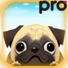 Pug Land Pro - Dog game