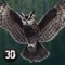 Wild Owl Bird Survival Simulator