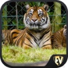 Famous Zoos SMART Guide